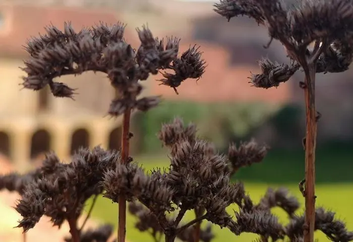 Séjour à la campagne Casa Fuerte San Gregorio I Almarza